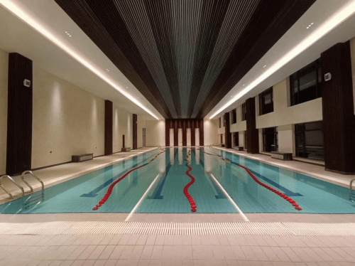 室內遊宅男天堂污污视频